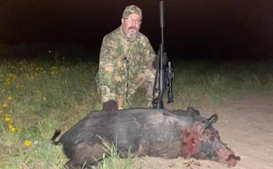 Free Range Hogs