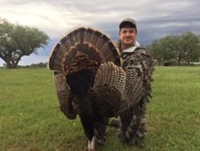 Turkey