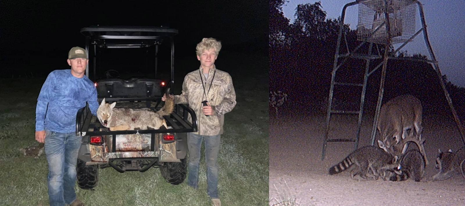 South Texas Varmints Hunting